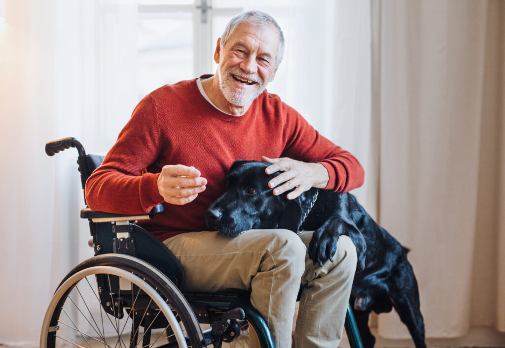 Happy elderly man in a wheelchair with his dog. 